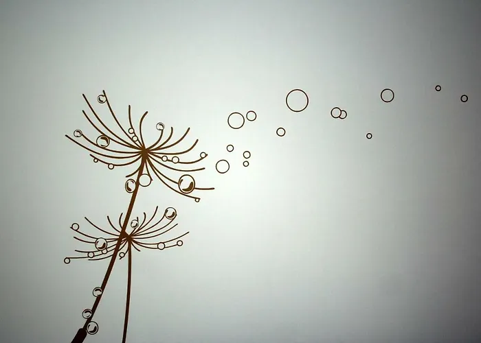 Messezimmer 4u Guest house 3*